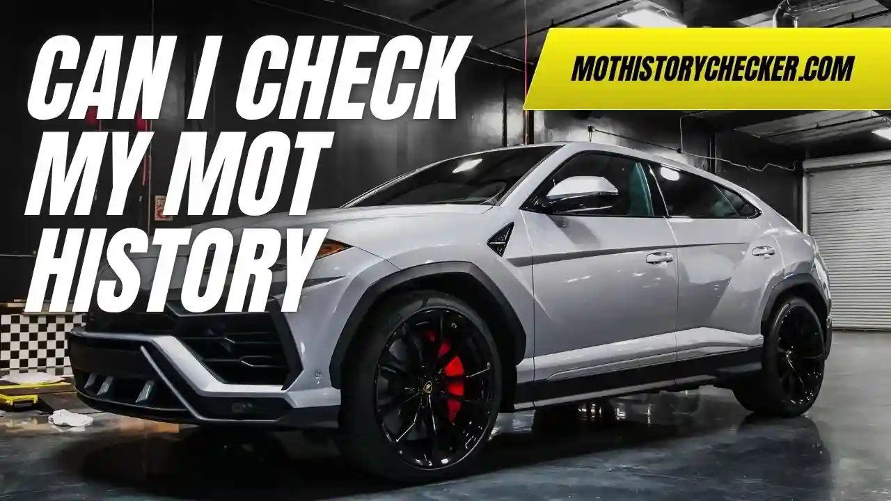 Can I Check My MOT History